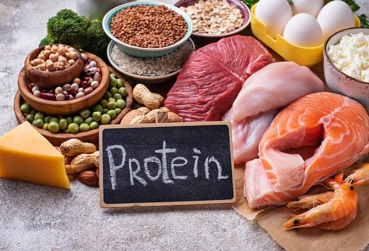 High Protein Meals to Burn Fat and Build Lean Muscle